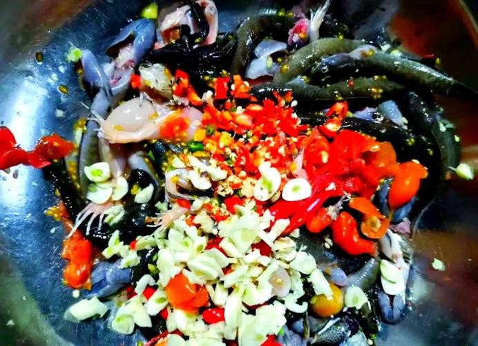 馬古龍魚(yú)是啥樣的圖片