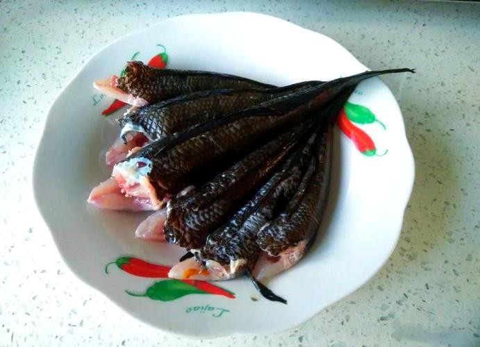 馬古龍魚(yú)是啥樣的圖片