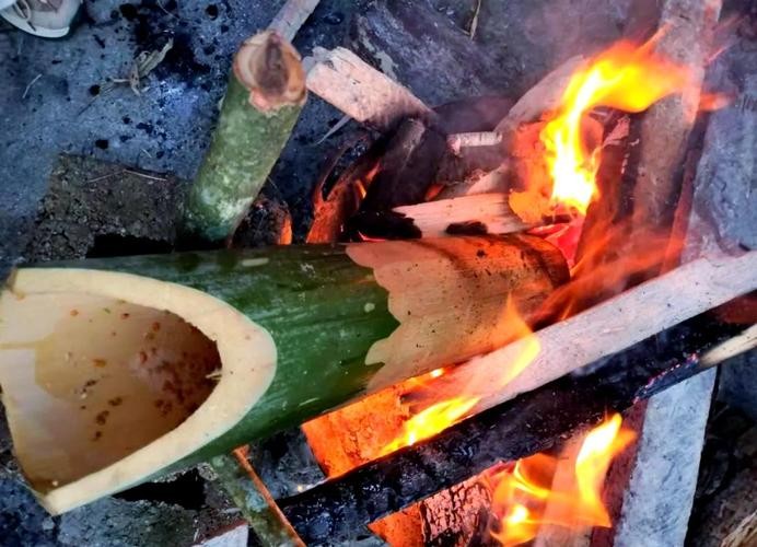 馬古龍魚(yú)是啥樣的圖片