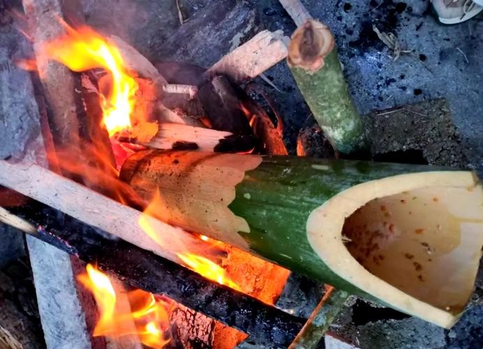 馬古龍魚(yú)是啥樣的圖片
