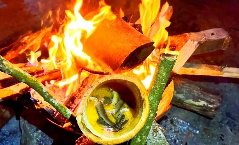 馬古龍魚(yú)是啥樣的圖片