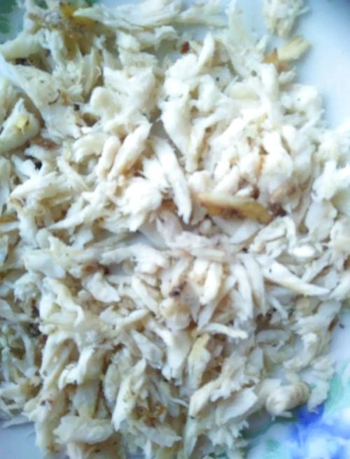 馬古龍魚(yú)是啥樣的圖片