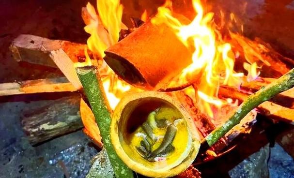 馬古龍魚(yú)是啥樣的圖片