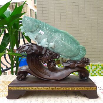 古典翡翠金龍魚：古典翡翠金龍魚不僅在外形上吸引人，價值上也有一定的地位