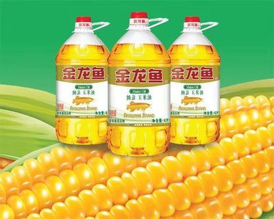 黃色金龍魚寓意（金龍魚的寓意和象征）