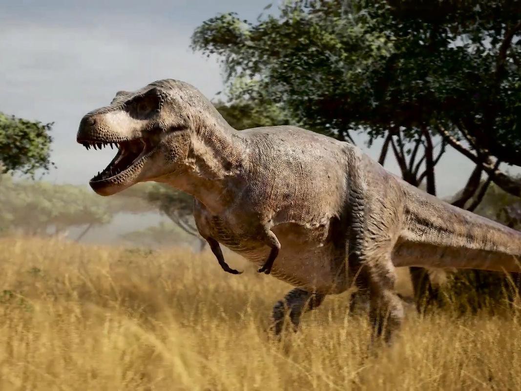 有沒有更多霸王龍的高清圖片？