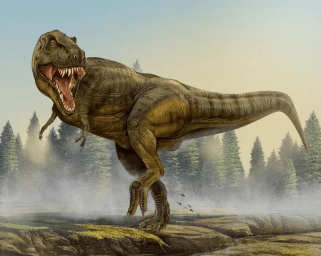 有沒有更多霸王龍的高清圖片？