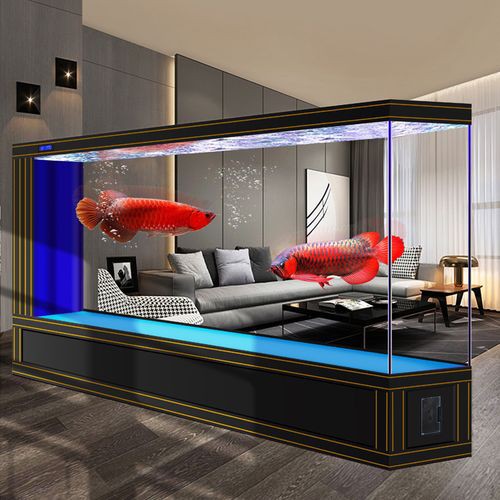 十大龍魚魚缸品牌有哪些