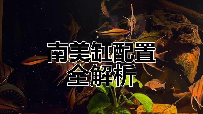 一米二魚缸需要多大的過濾系統？