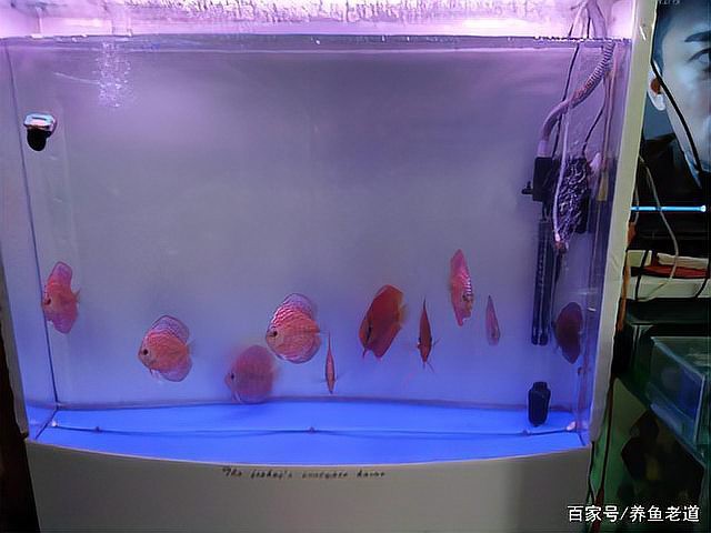 一米二魚缸需要多大的過濾系統？