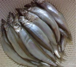 金龍魚怎么賣的多（金龍魚銷售成功的原因主要歸結于以下幾個方面）
