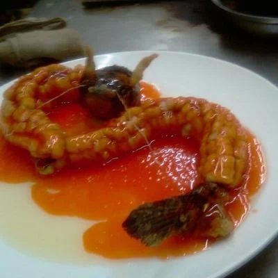 龍魚的做法及配料竅門：幾種龍魚的做法及配料竅門 龍魚的做法及配料竅門：幾種龍魚的做法及配料竅門 龍魚百科 第2張