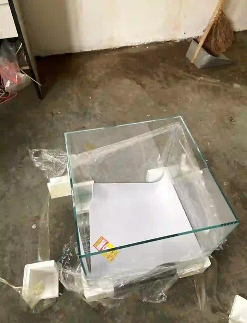 養龍魚用什么缸最好看