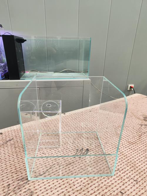 養龍魚用什么缸最好看