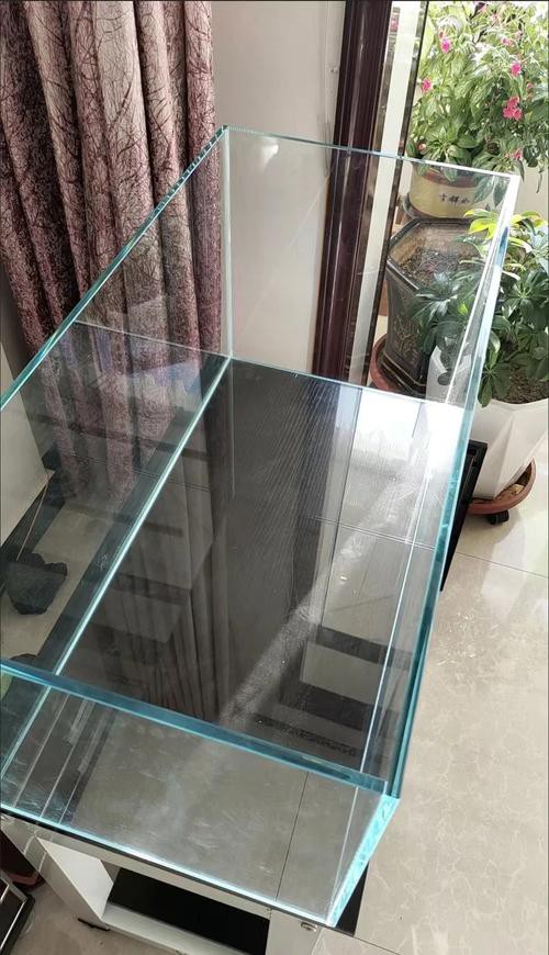 養龍魚用什么缸最好看