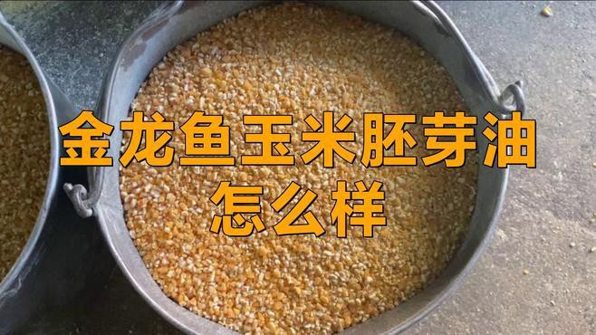 金龍魚玉米油和葵花籽油有何區別？