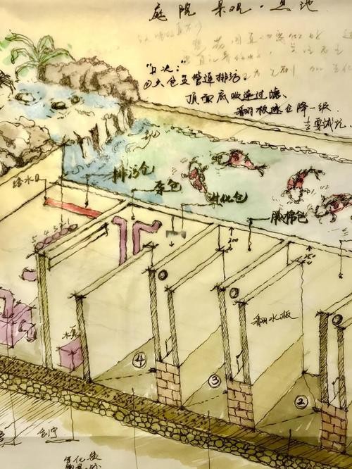 銀龍魚魚缸需要多大的過濾系統