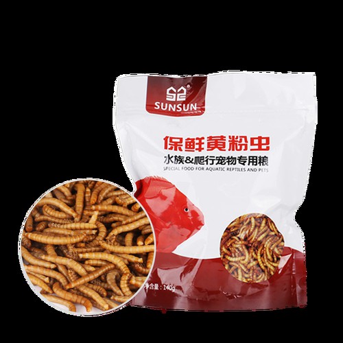 哪些品牌的龍魚發色飼料好？