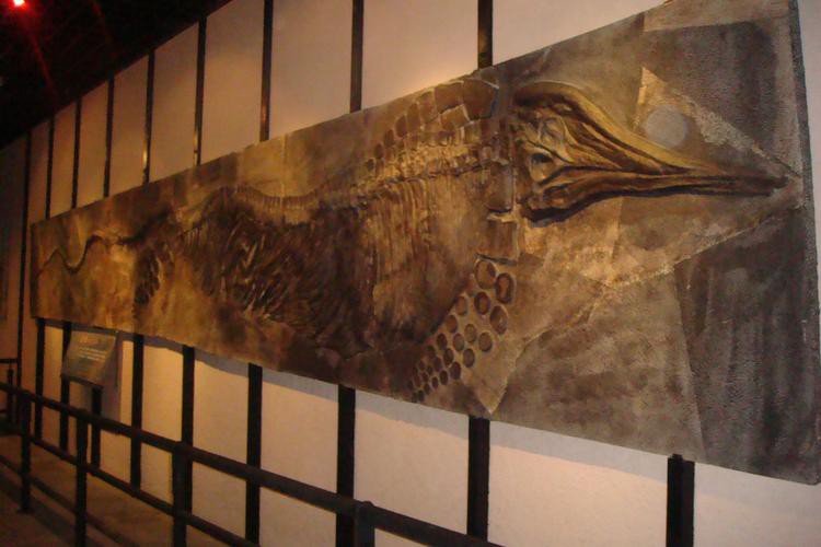 羅平龍魚化石