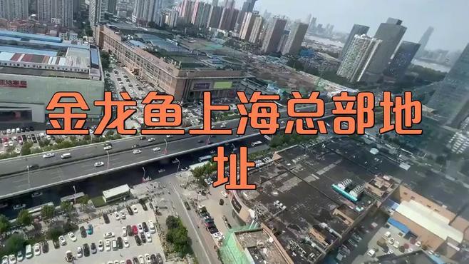 上海金龍魚公司怎么樣啊