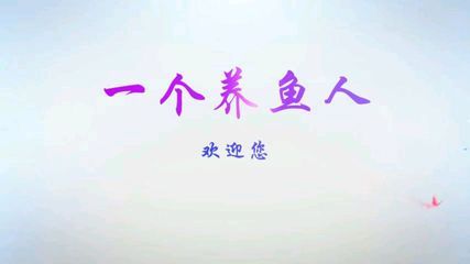 龍魚作文開門見山怎么寫：如何寫好龍魚作文開門見山