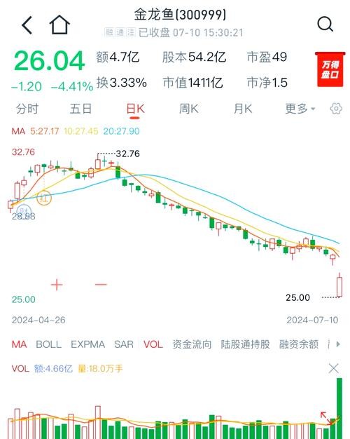 金龍魚的價格波動大嗎