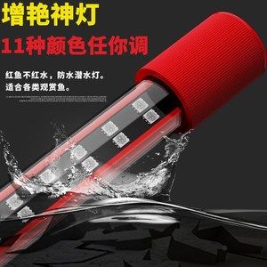 金龍魚魚缸燈如何擺放【每天開燈8小時，金龍魚開燈8小時，金龍魚身體狀態的變化】 金龍魚魚缸燈如何擺放【每天開燈8小時，金龍魚開燈8小時，金龍魚身體狀態的變化】 龍魚百科 第2張