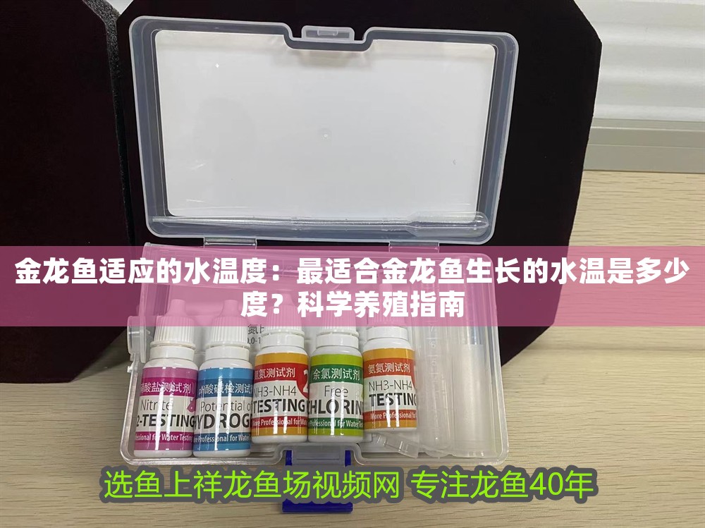 金龍魚適應的水溫度：最適合金龍魚生長的水溫是多少度？科學養殖指南