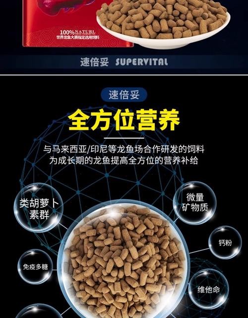 銀龍魚吃的小魚哪里有賣的