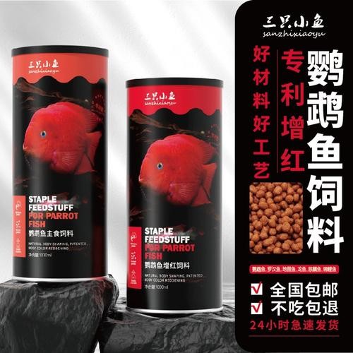 銀龍魚吃的小魚哪里有賣的
