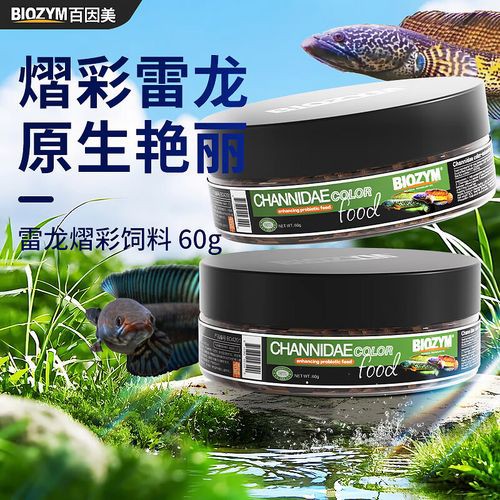 性價(jià)比高的雷龍魚飼料品牌有哪些