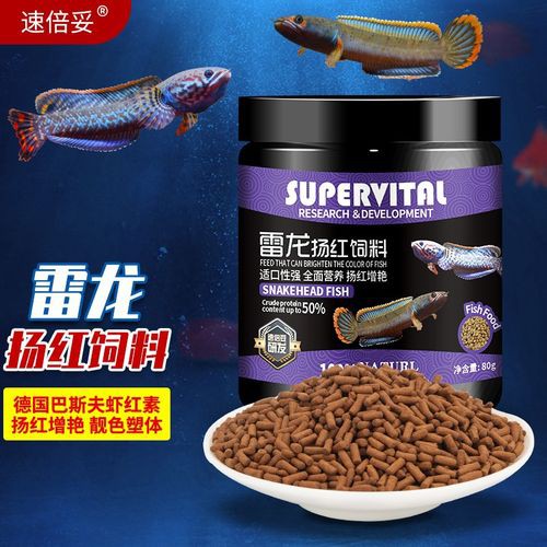 性價(jià)比高的雷龍魚飼料品牌有哪些