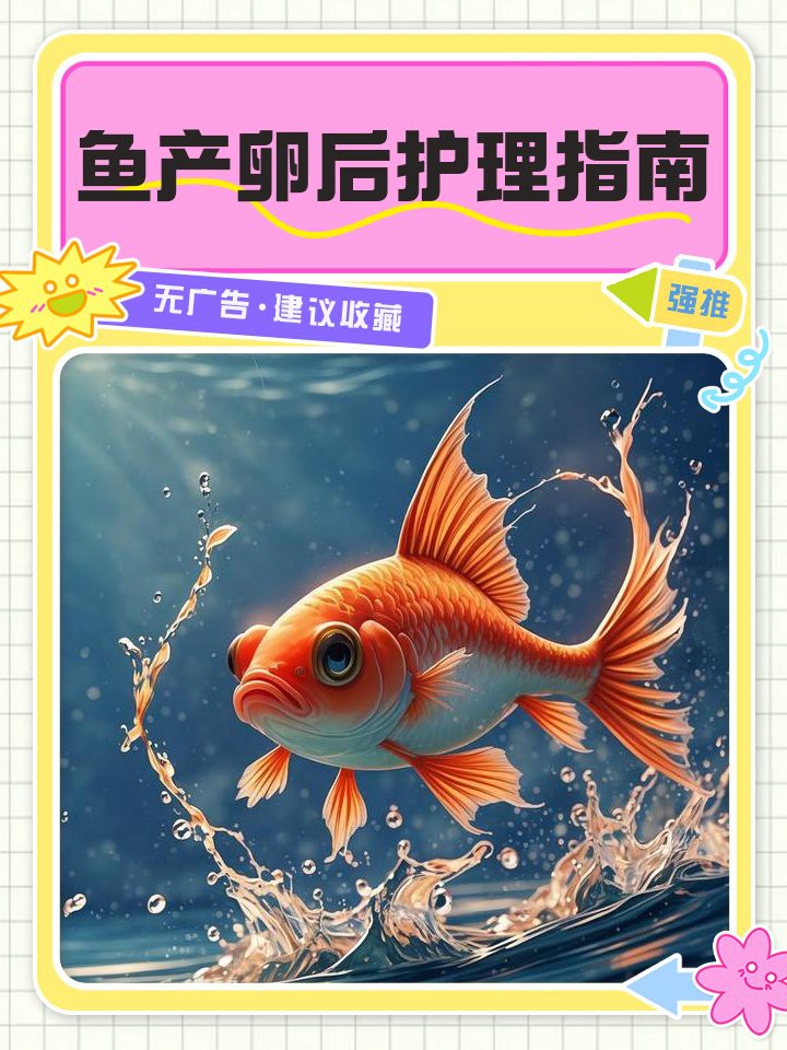 古龍魚繁殖后如何護理？