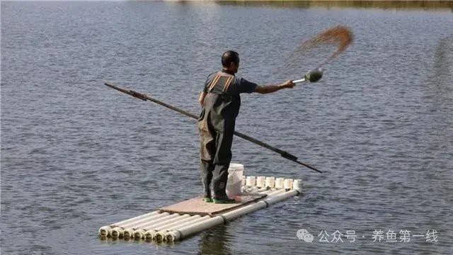 如何處理活餌以避免寄生蟲風(fēng)險？