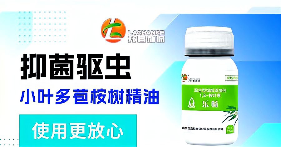 如何處理活餌以避免寄生蟲風(fēng)險？