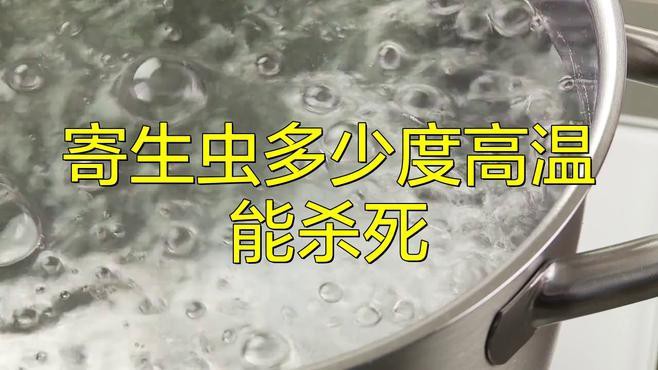 如何處理活餌以避免寄生蟲風(fēng)險？