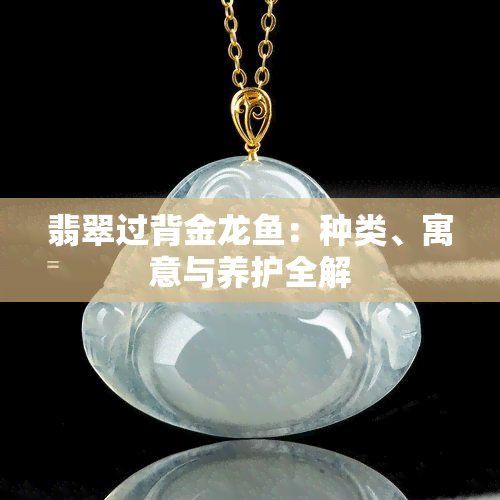 古典藍底金頭過背的寓意