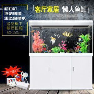 龍魚要多大的缸最好：養龍魚時選擇合適的魚缸尺寸至關重要，龍魚缸內布置的風水講究