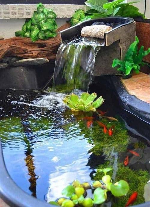 露臺魚池設計實景圖