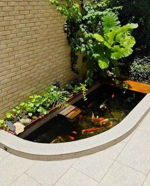 露臺魚池設計實景圖