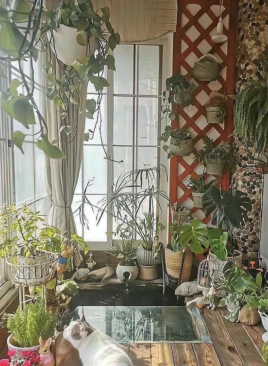 露臺魚池設計實景圖