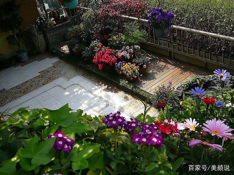露臺魚池設計實景圖