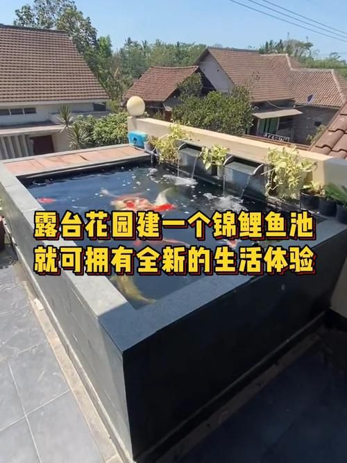 露臺魚池設計實景圖