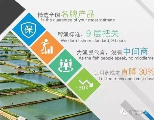 龍魚身上有粘液是什么原因：龍魚身上有粘液怎么辦
