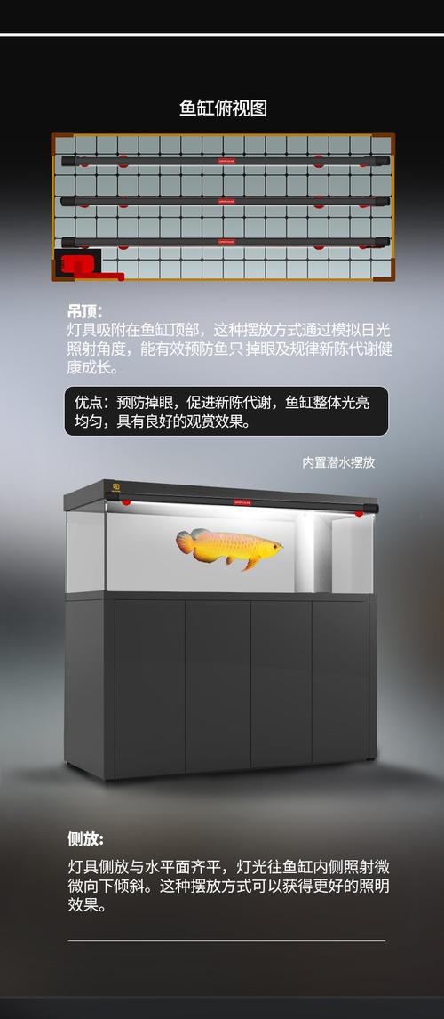 金龍魚燈光位置示意圖高清