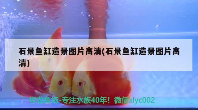 石景魚缸造景圖片高清(石景魚缸造景圖片高清)