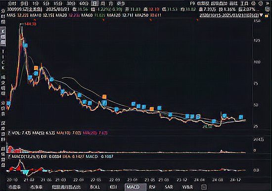 金龍魚是行業龍頭嗎