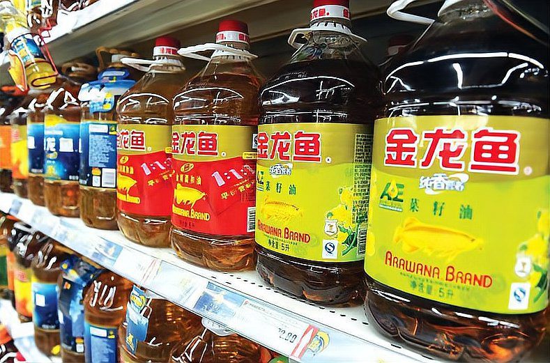 金龍魚是行業龍頭嗎