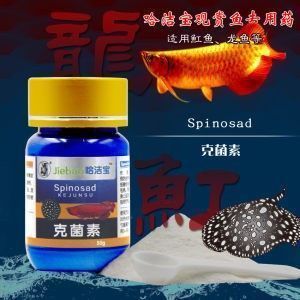 銀龍魚抗病毒藥物選擇：銀龍魚抗病毒藥物使用注意事項