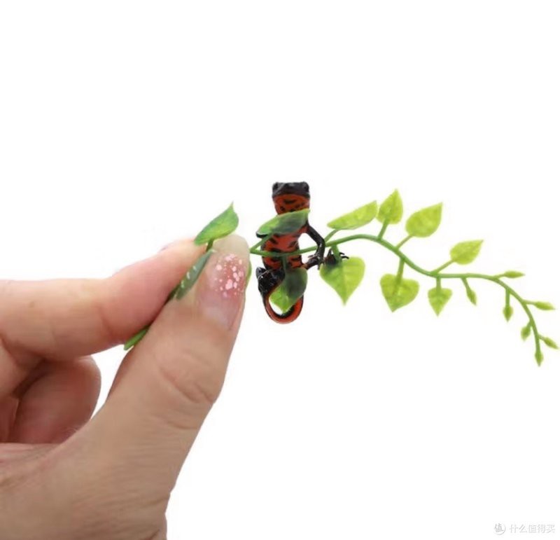 小火龍魚繁殖需要多大的空間？